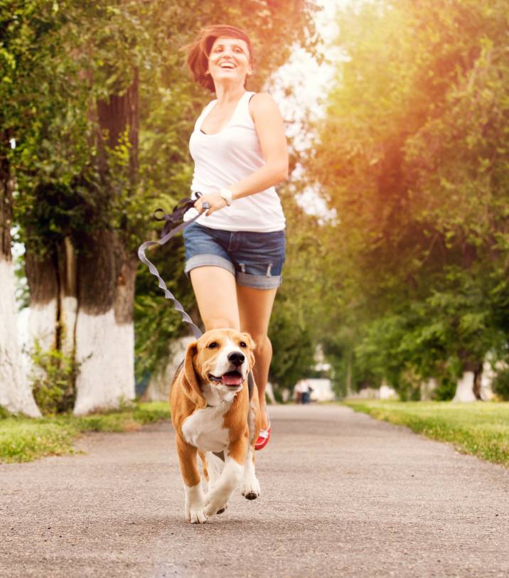 setting a routine with a reactive dog through regular jogging