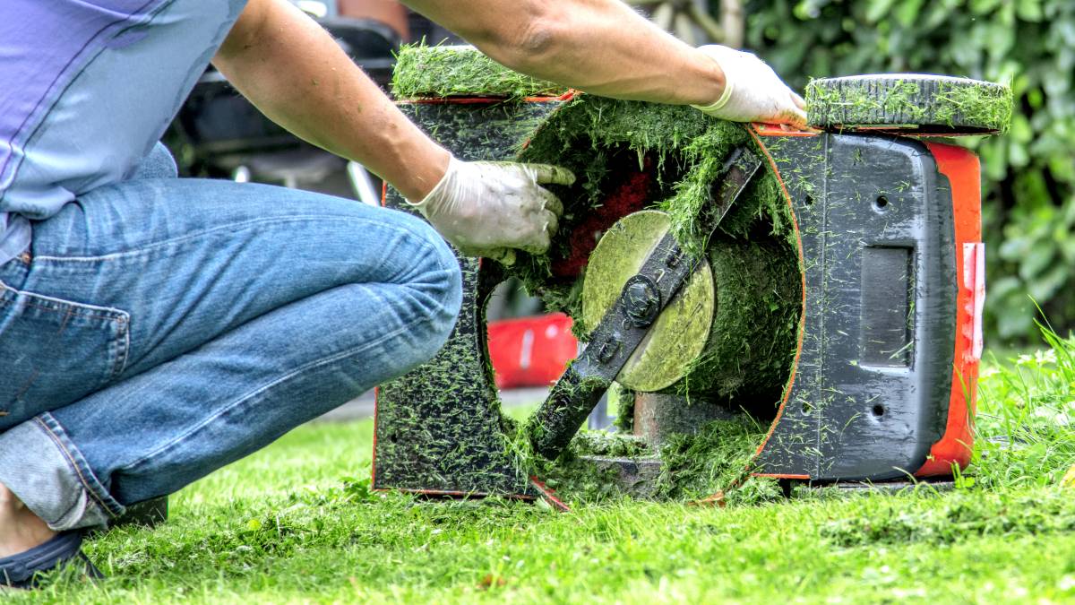 Top 10 Best Lawn Mower Repairs Near You | Airtasker UK