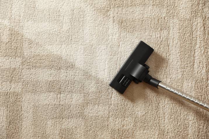 drying a carpet with wet-dry vacuum