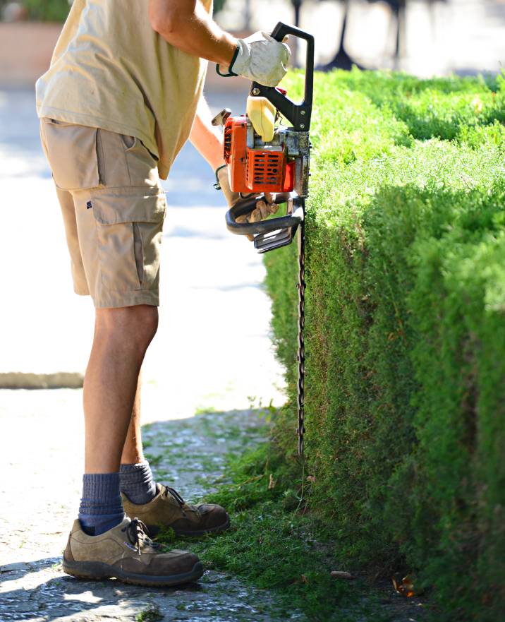 hedge-trimming-cost-guide-airtasker-uk