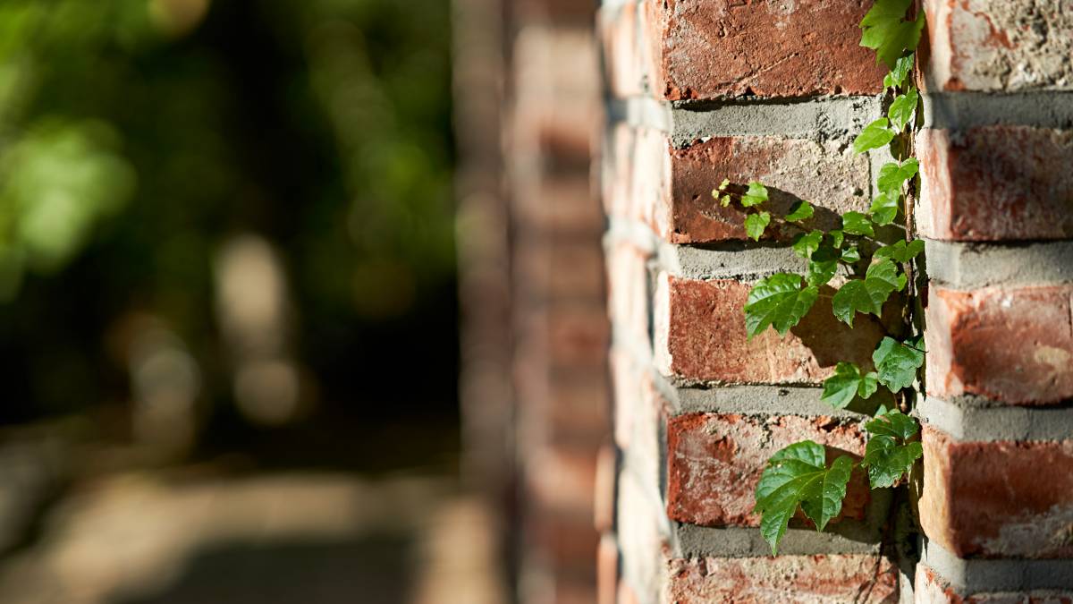 Garden Wall Cost Guide Airtasker US