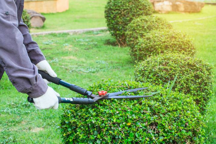 How to Sharpen Garden Shears | Airtasker US