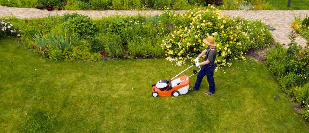 lawn-care-calendar-airtasker-uk