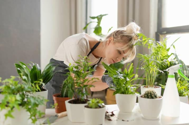 Woman grows plants for sale