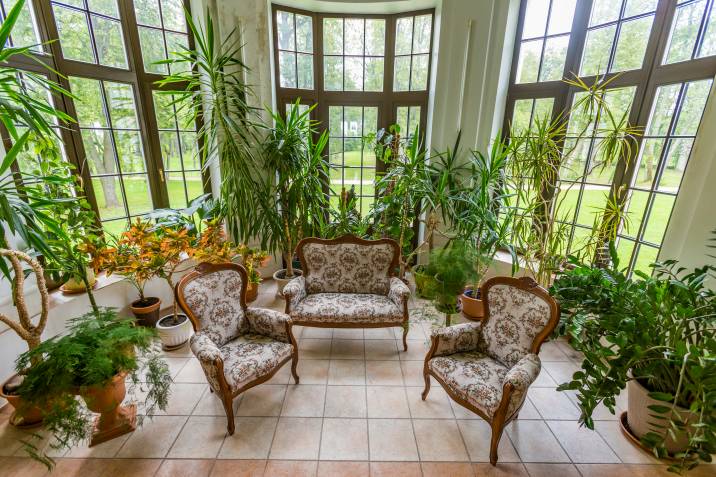 Plants in sunroom