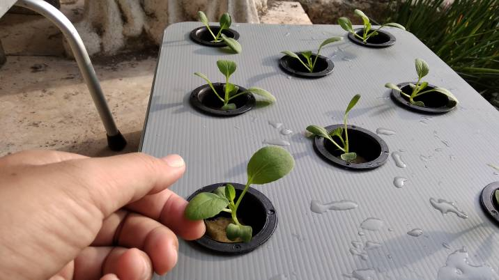 sample hydroponic system