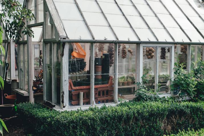 greenhouse enclosed with a hedge