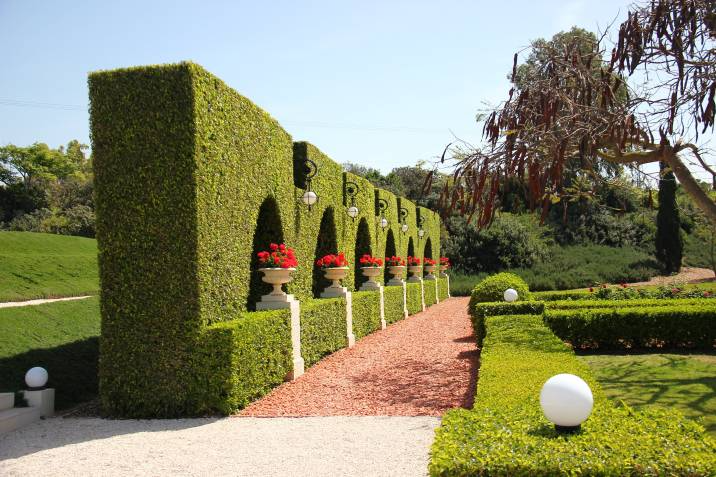 hedges used as a backdrop for decor