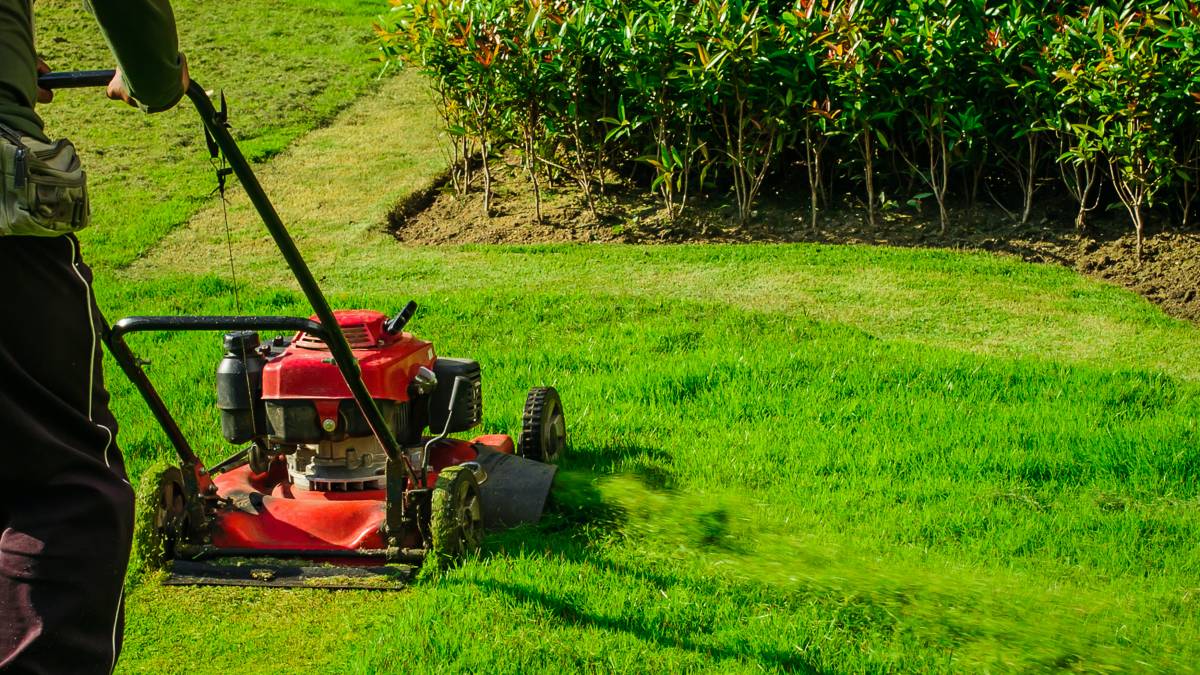 Lawn Mowing Cost Guide Airtasker UK
