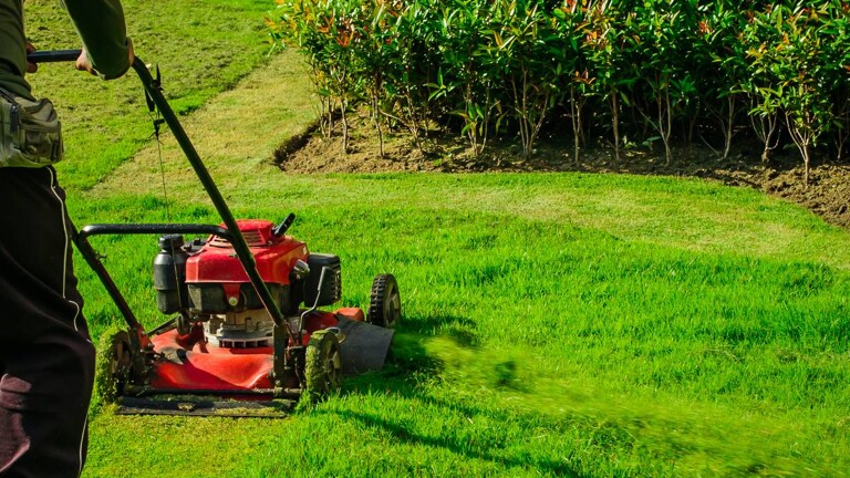 Top 10 Best Lawn Mower Repairs near you | Airtasker UK