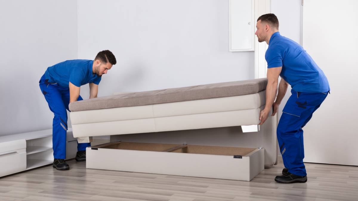 Furniture Mover Cost Guide Airtasker US