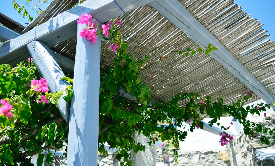 A pergola with flowers